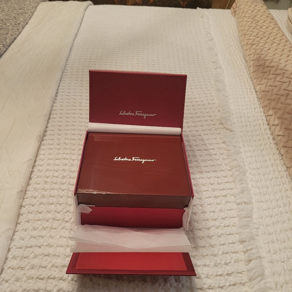 Salvatore Ferragamo Elegant Gold and Blue Watch - Picture 12 of 13